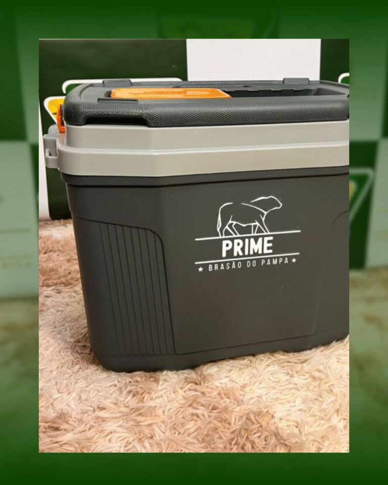 Design sem nome (10)